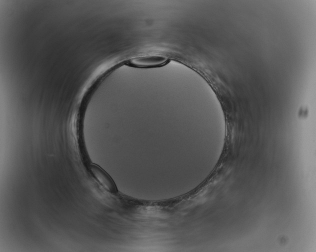 X0000102840244200809151110