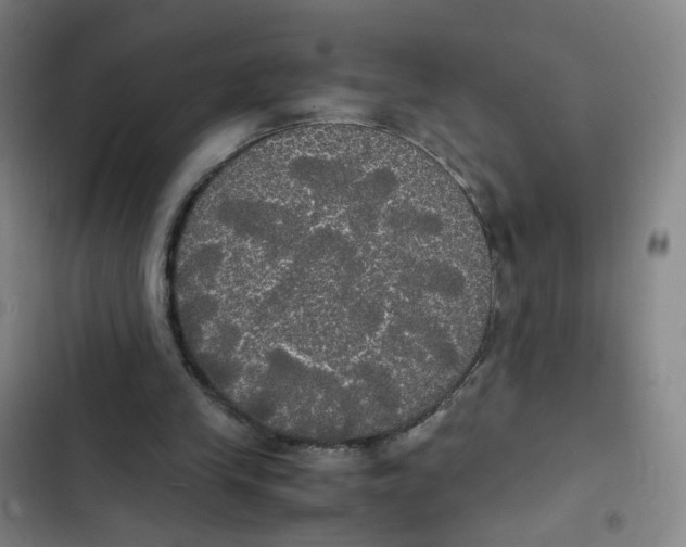 X0000102840245200809151111