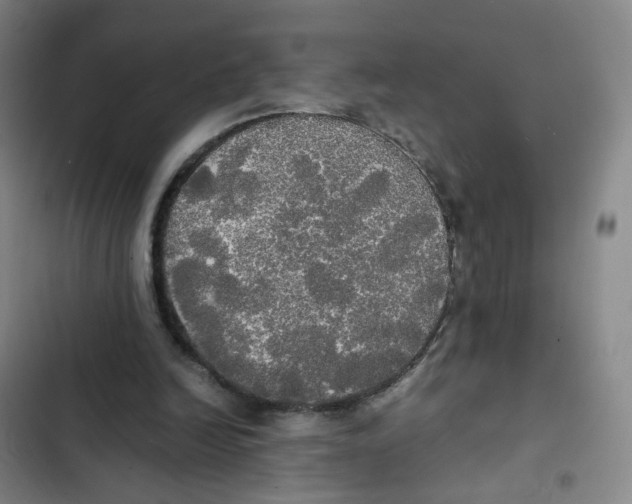 X0000102840246200809151111