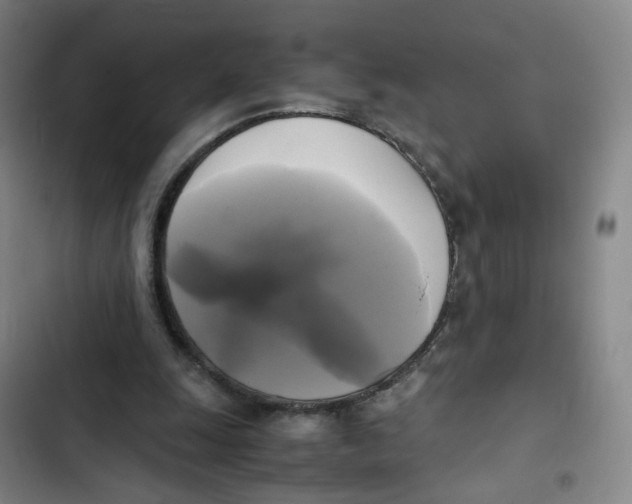 X0000102840247200809151111