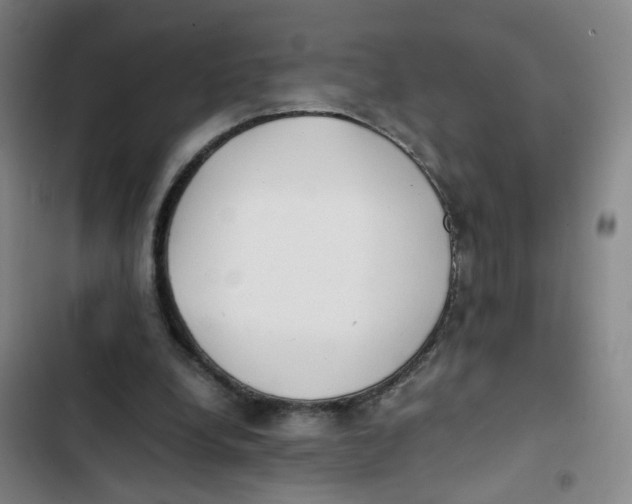 X0000102840248200809151111