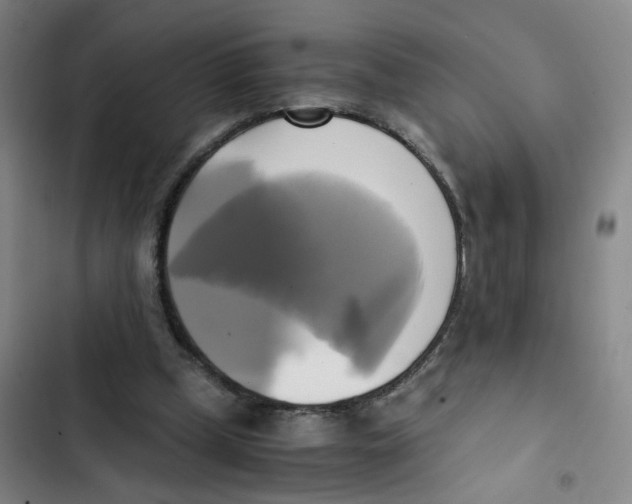 X0000102840249200809151111