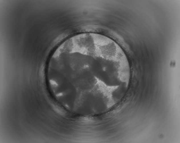 X0000102840250200809151111