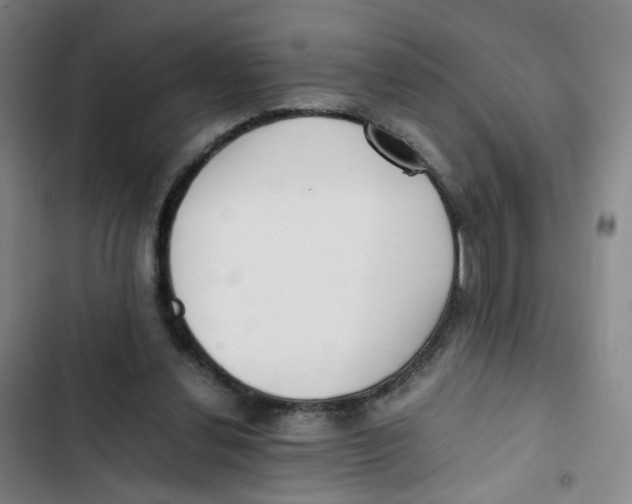 X0000102840252200809151111