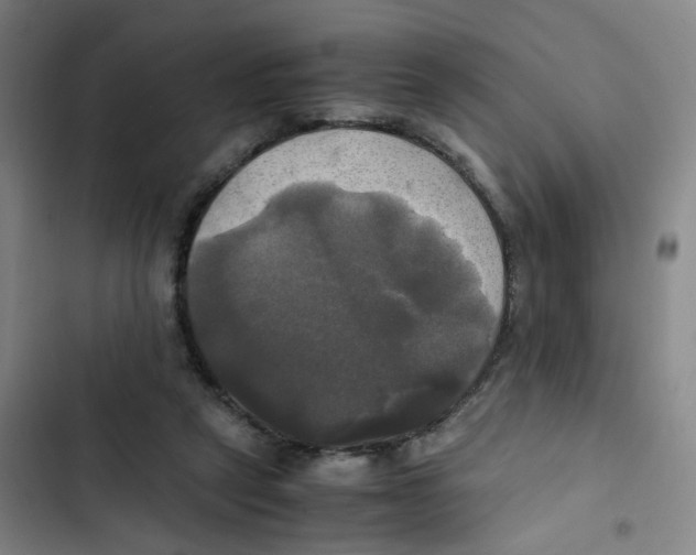 X0000102840257200809151111