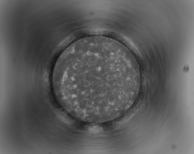 X0000102840258200809151111