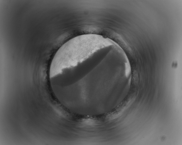 X0000102840259200809151111