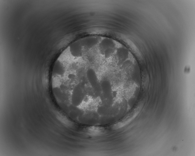 X0000102840261200809151111