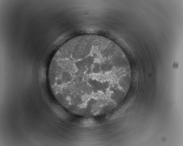 X0000102840262200809151111