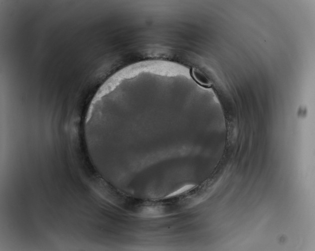 X0000102840263200809151111