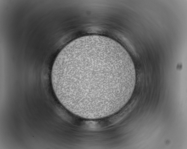 X0000102840265200809151111