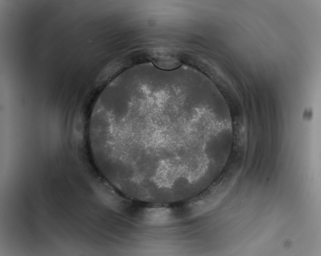 X0000102840266200809151111