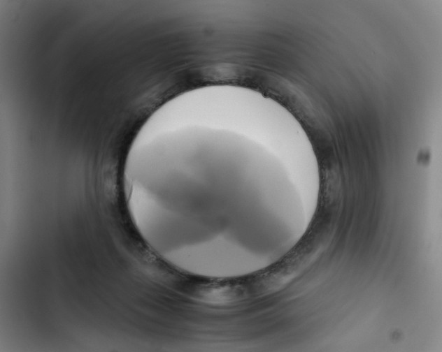 X0000102840267200809151111