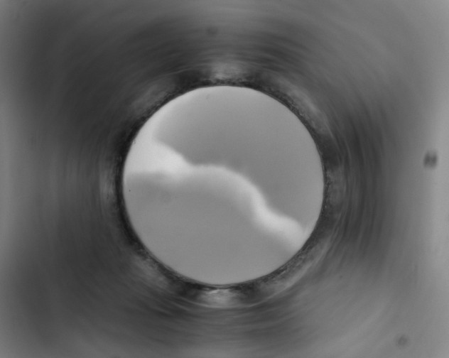 X0000102840269200809151111