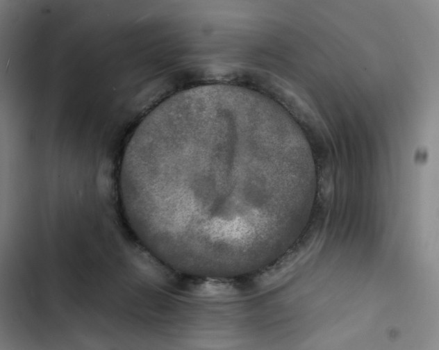 X0000102840270200809151111