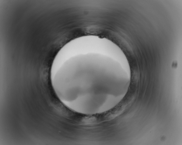 X0000102840271200809151111