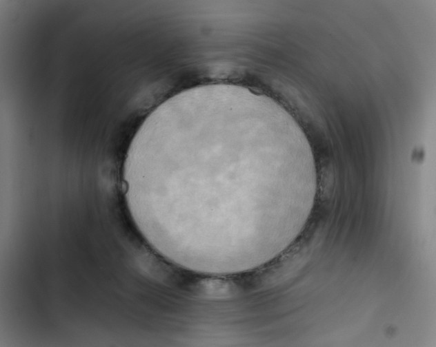 X0000102840272200809151111