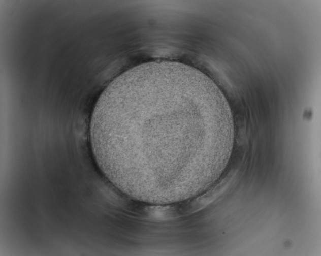 X0000102840273200809151111