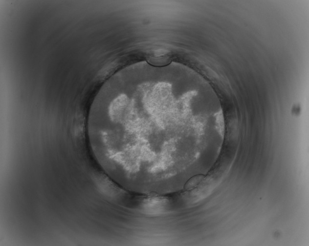 X0000102840274200809151111