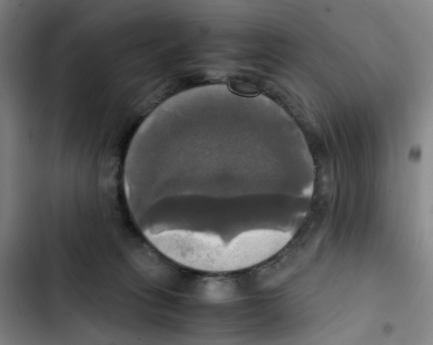 X0000102840275200809151111