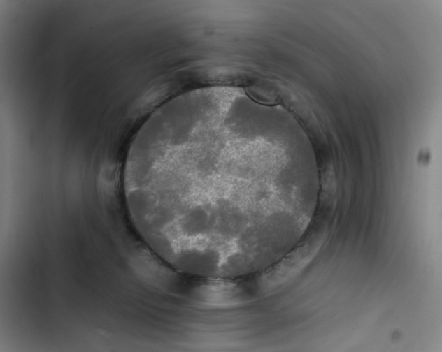 X0000102840278200809151111