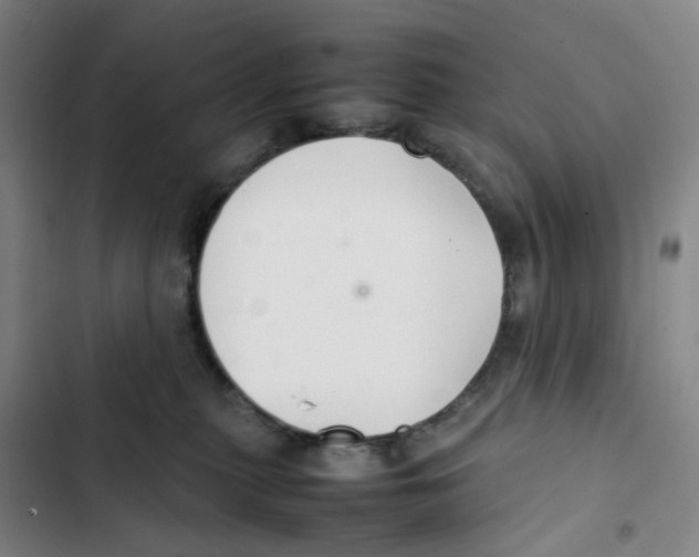 X0000102840279200809151111