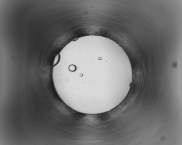 X0000102840280200809151111