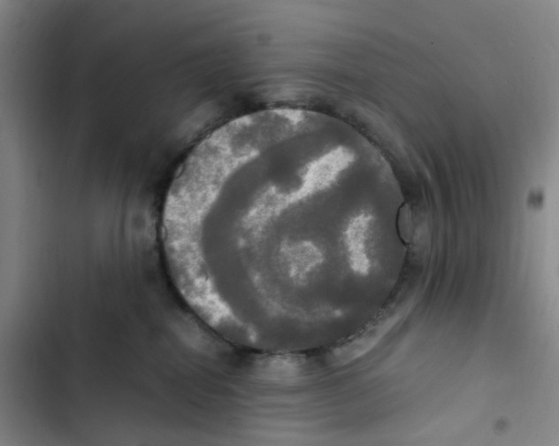 X0000102840282200809151111