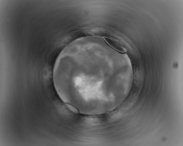 X0000102840284200809151111