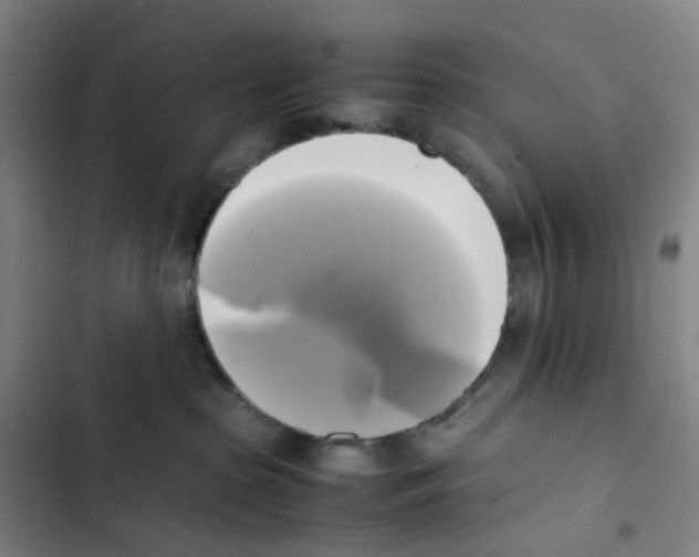 X0000102840285200809151111