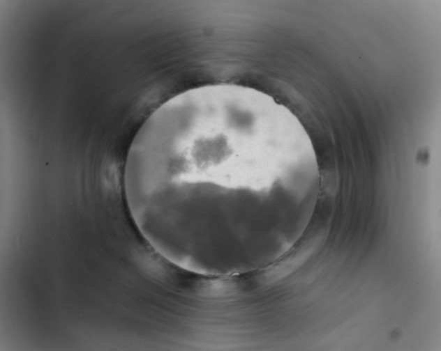 X0000102840286200809151111