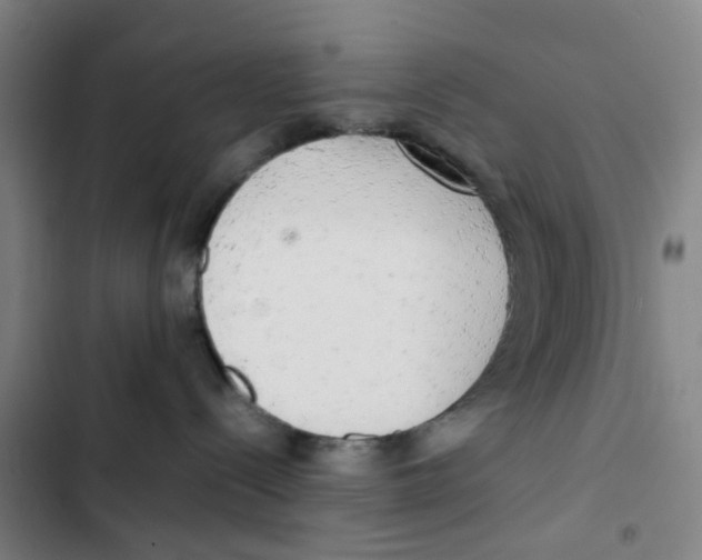 X0000102840288200809151111