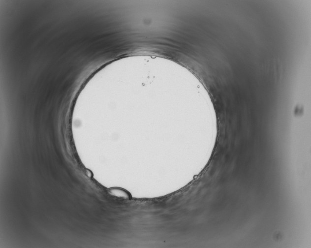 X0000102840289200809151110