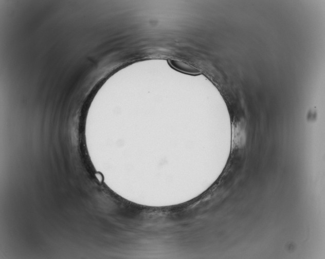 X0000102840291200809151110