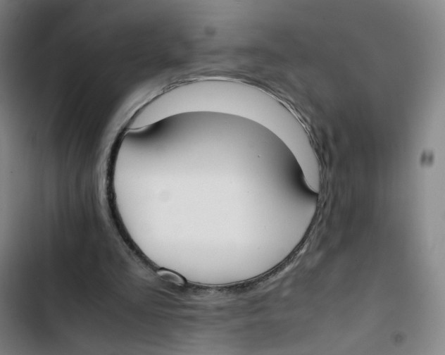 X0000102840293200809151110