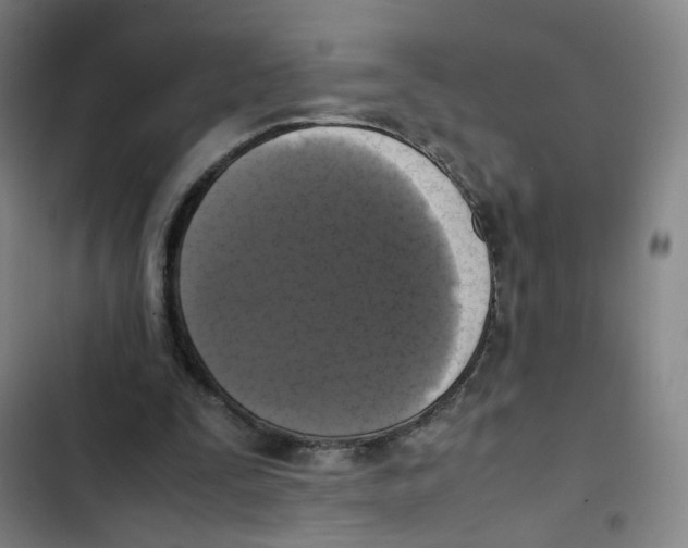 X0000102840295200809151110