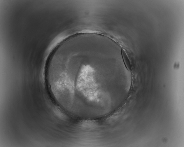 X0000102840296200809151110