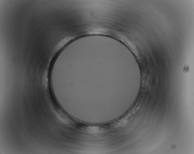 X0000102840298200809151110