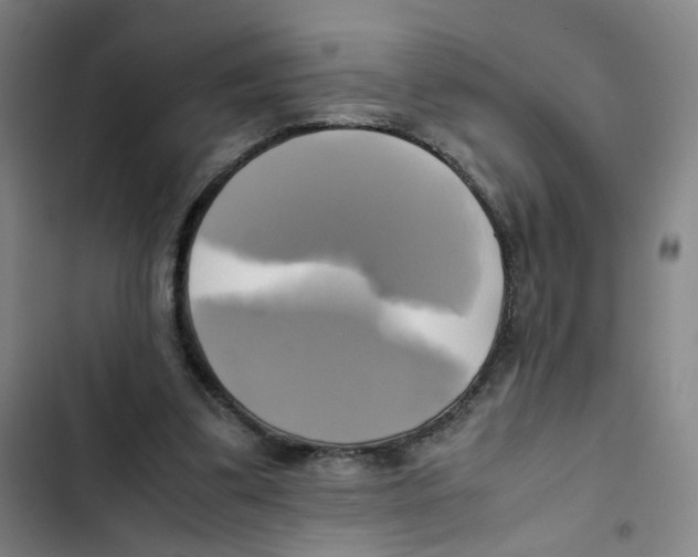 X0000102840299200809151110