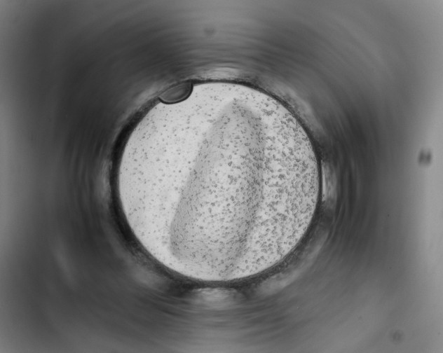 X0000102840300200809151110