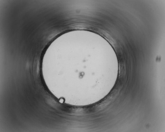 X0000102840301200809151110