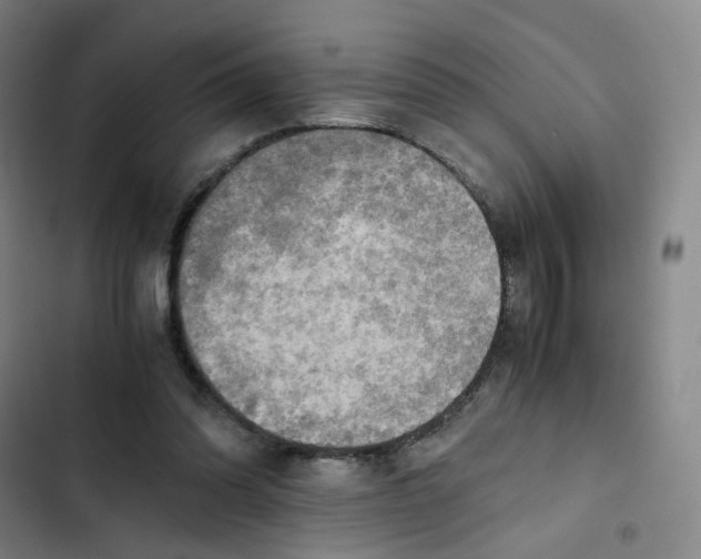 X0000102840302200809151110