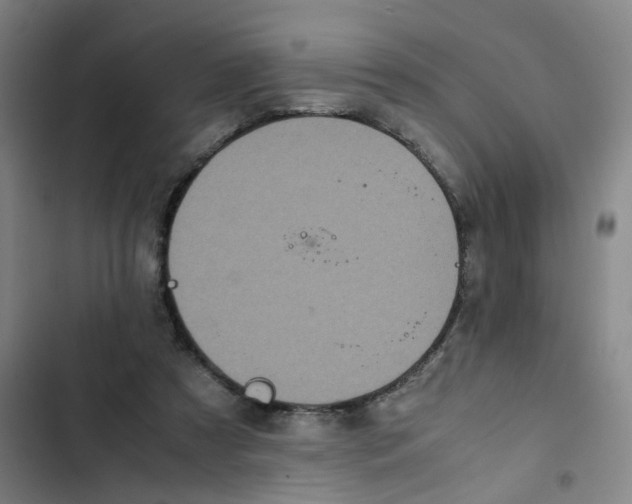 X0000102840305200809151110