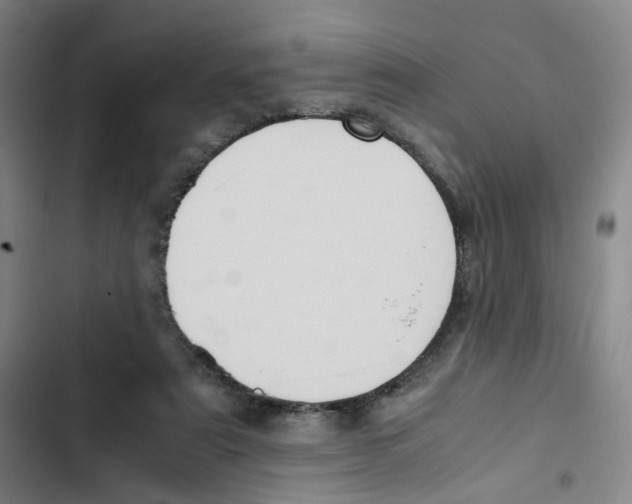 X0000102840307200809151110