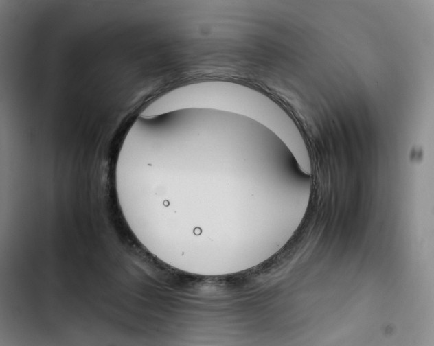 X0000102840308200809151110