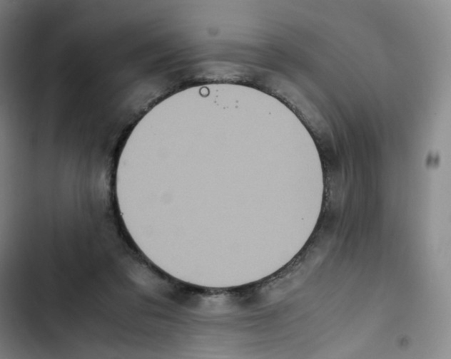 X0000102840309200809151110