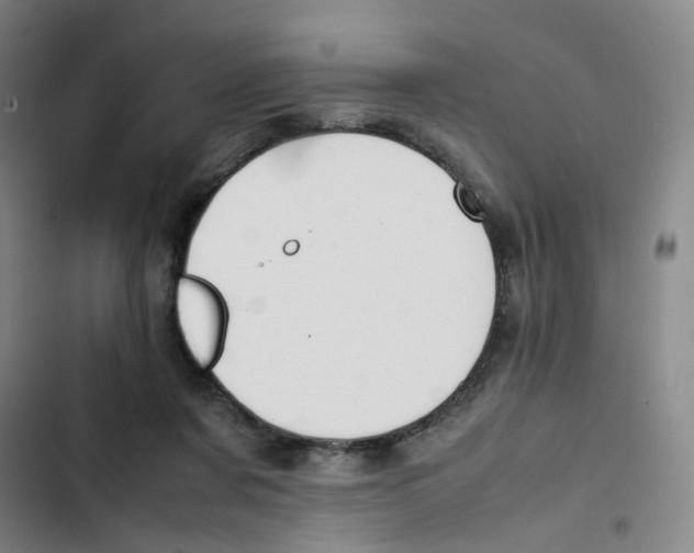 X0000102840311200809151110