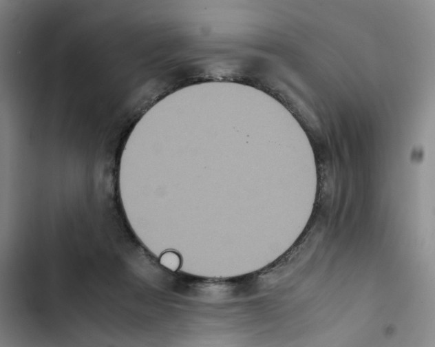 X0000102840313200809151110