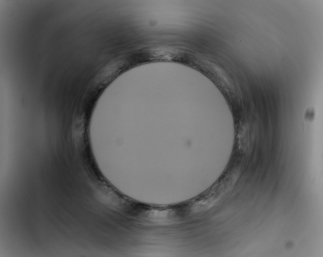 X0000102840314200809151110