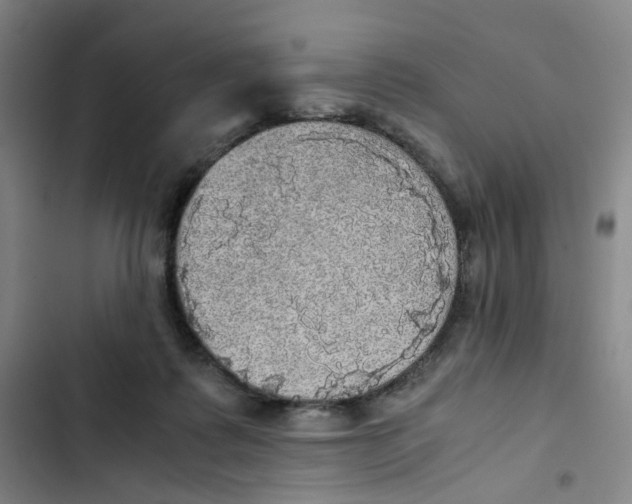 X0000102840315200809151110